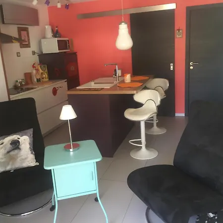 La Magie De Noel * 塞莱斯塔