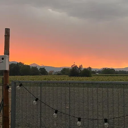 La Magie De Noel 公寓