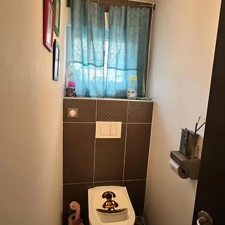 La Magie De Noel * 塞莱斯塔